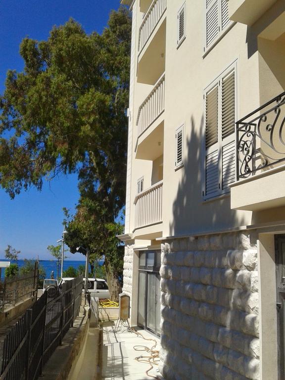 Apartments Dangubic Petrovac Extérieur photo